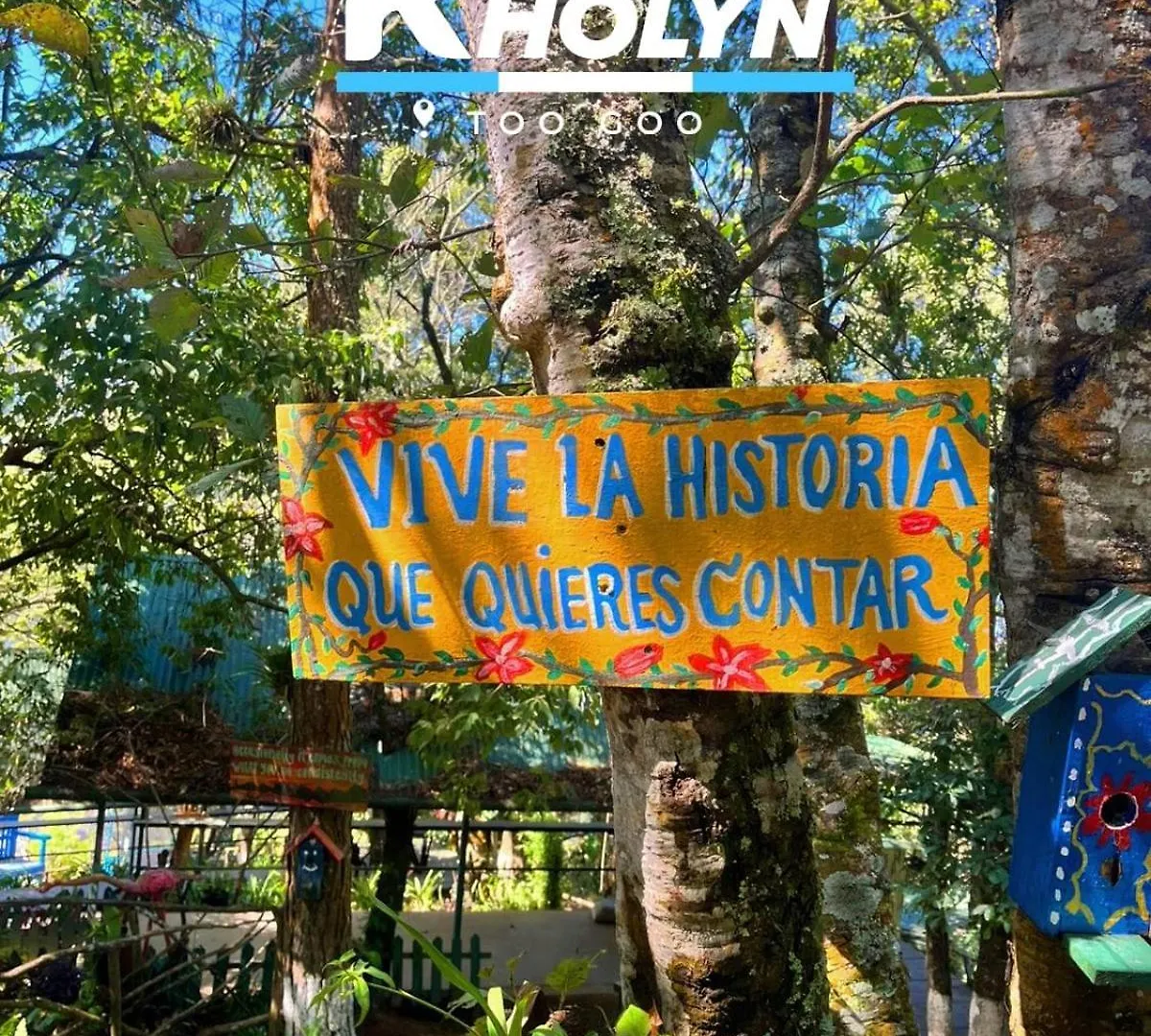 Hotel Rholyn Pura Vida !! Antigua